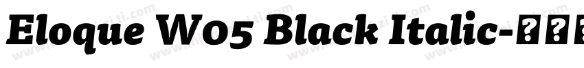 Eloque W05 Black Italic字体转换